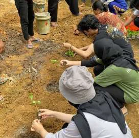 Penyemaian bibit cabai di Dusun Dlisen — foto 2