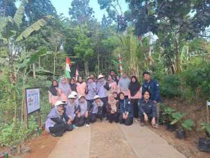 Hutan Pinus & Hasil Hutan